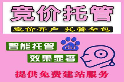 电商平台的SEM关键词优化与推广案例